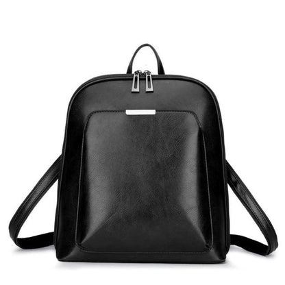 Urban Voyager Dual-Zip Minimalist Carry Backpack